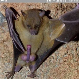 Meet your Posher, Jeremy